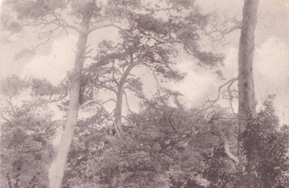 Kijkover - 1927