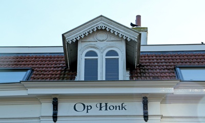 Detail dak