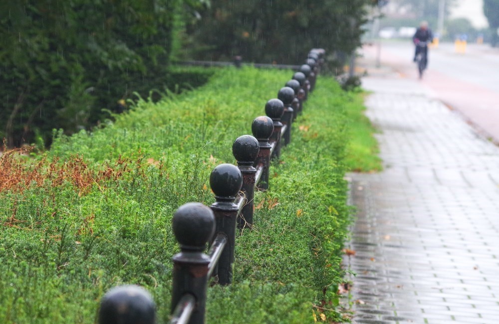 Hekwerk langs de straat