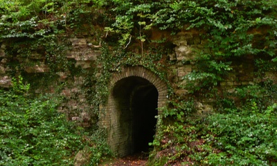 Rosendael Wildkelder