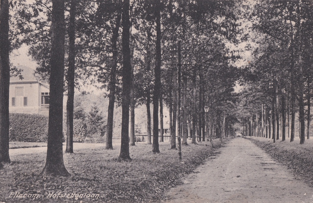 Blik op de lege Hofstettenlaan - 1921