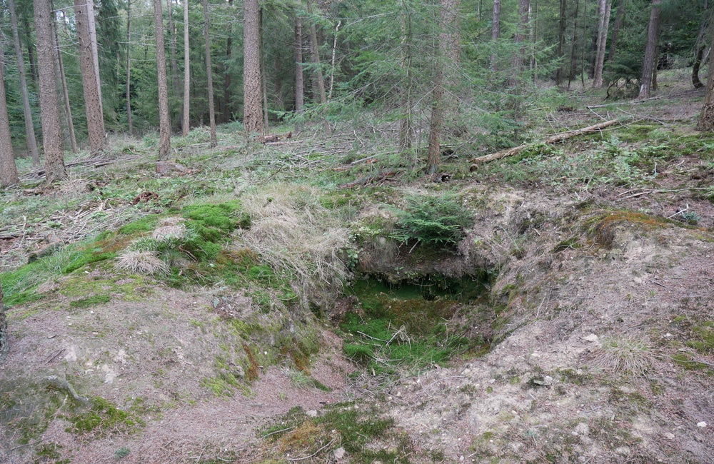 Onderduikhol in Het Veld - 2016