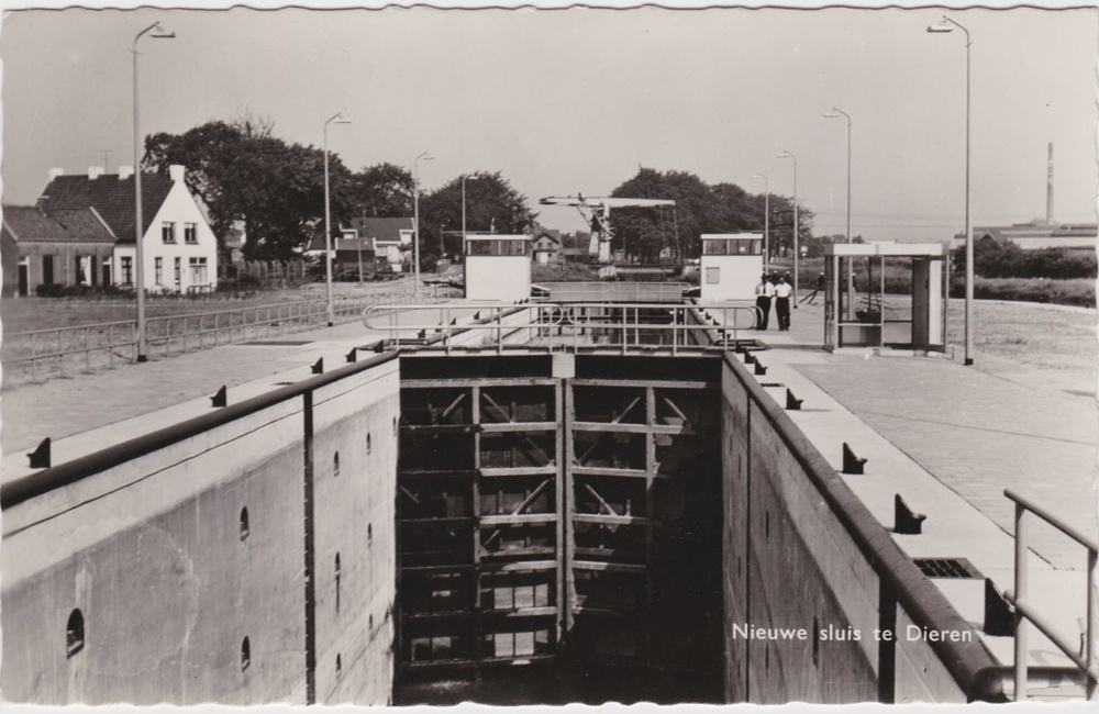 Slui84 JL