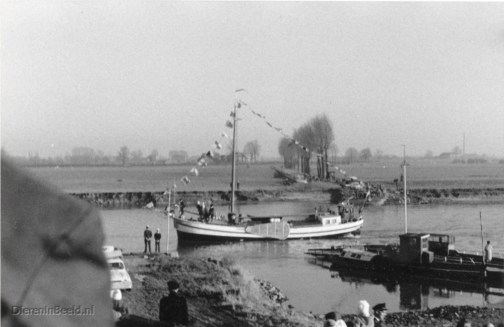 Veer Sinterklaas1 1960 JES