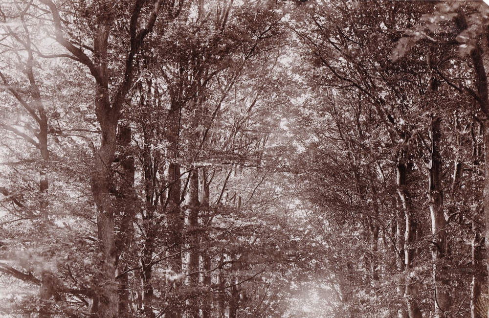 Hofstettenlaan in de richting van het spoor kijkend - 1906