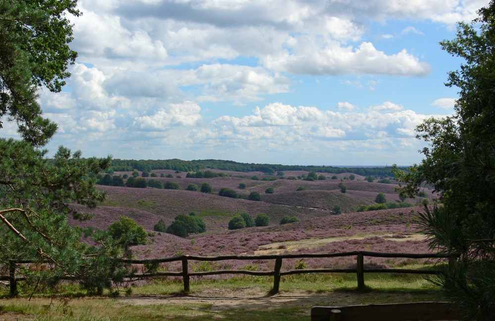 Zijpenberg - 2007