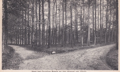 Onzalige Bossen