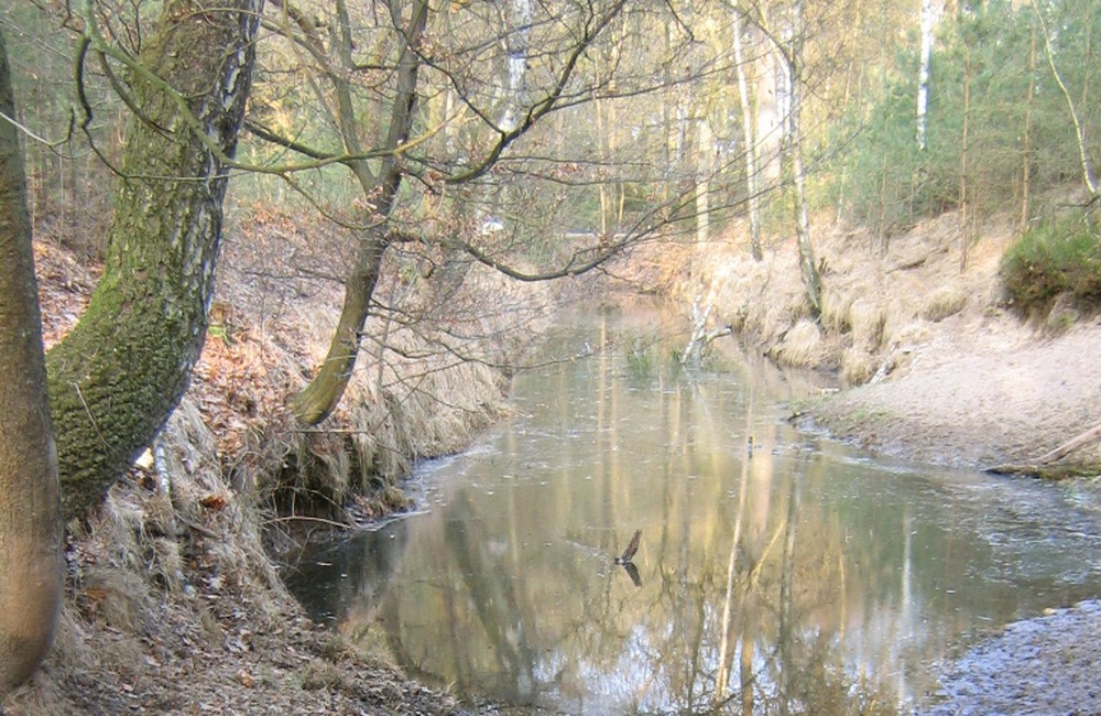 De Dode spreng - 2010