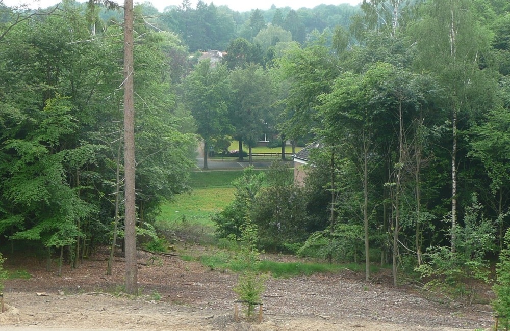 Koningsberg-2016