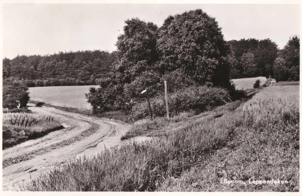 Weg bij de Lappendeken - 1955