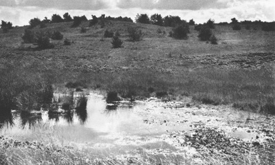 Wapenveen