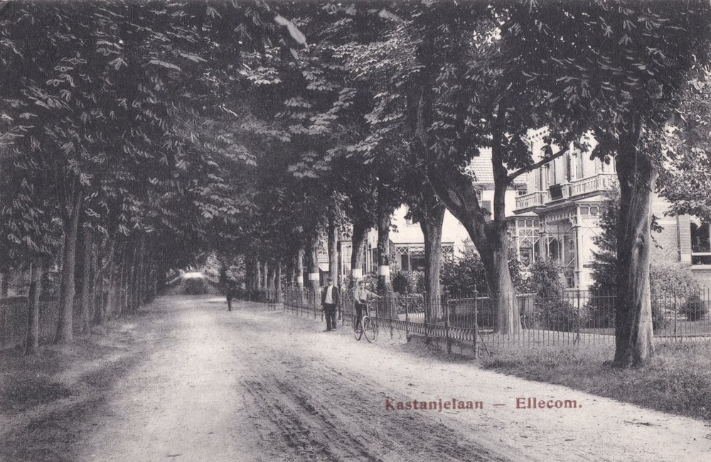 Kastanjelaan als zandweg - 1906