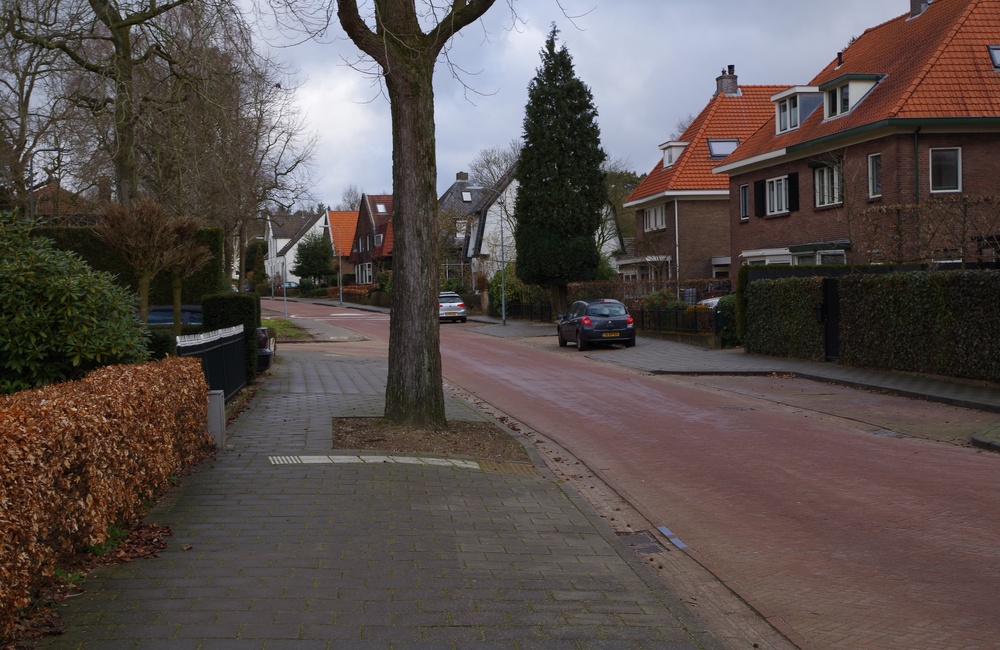Enkweg richting Ringallee - 2016