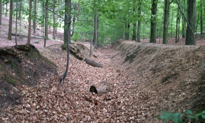 Schietbaan op landgoed Beekhuizen