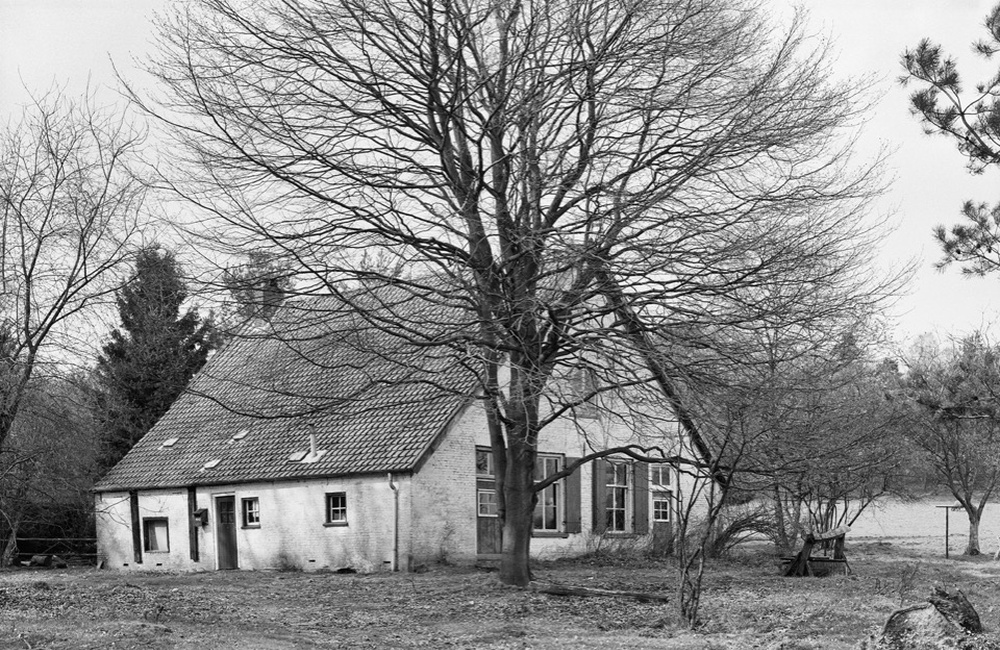 Lam Groen