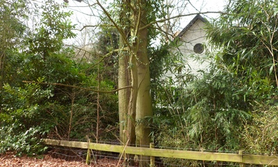 Biljoen Cascade bij Beekhuizenseweg 20