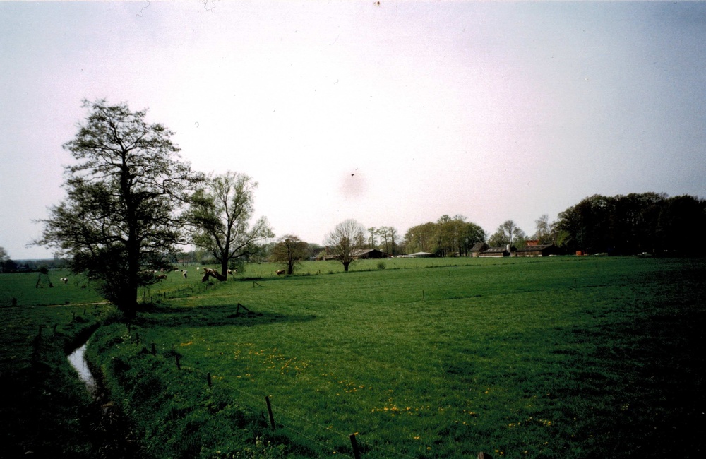 Assenbeek