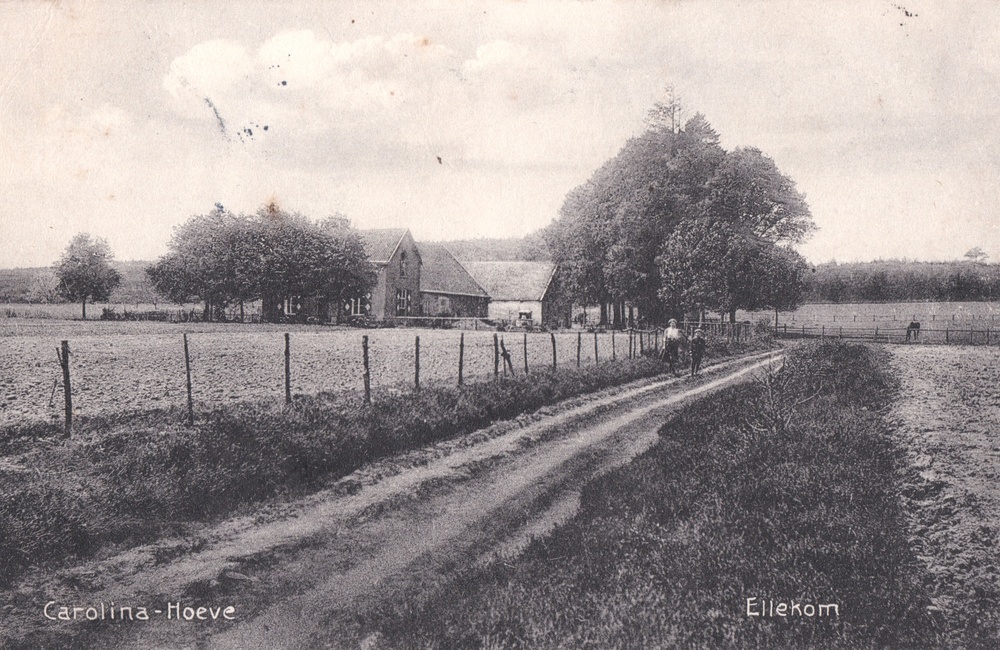 Weg naar de Carolinahoeve, ingekleurd - 1913