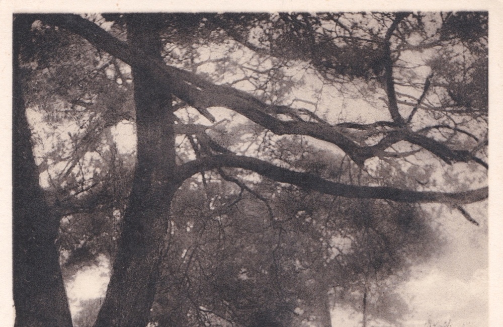 Kijkover - 1931