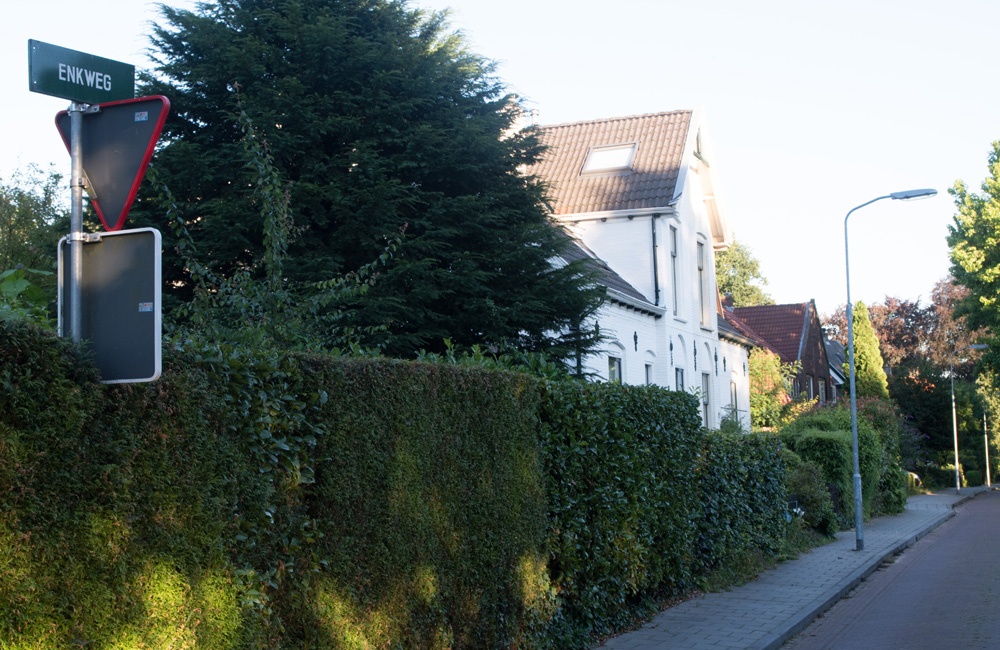 Enkweg nabij Enkplein - 2016