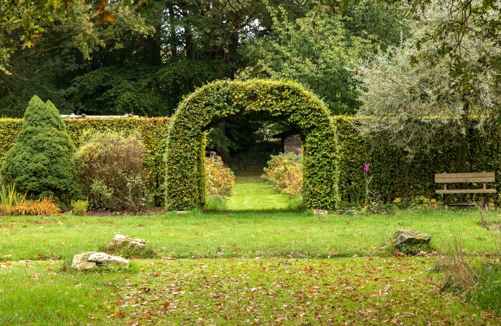 Tuin - 2016