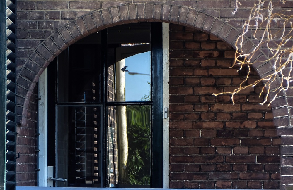 Detail loggia - 2016