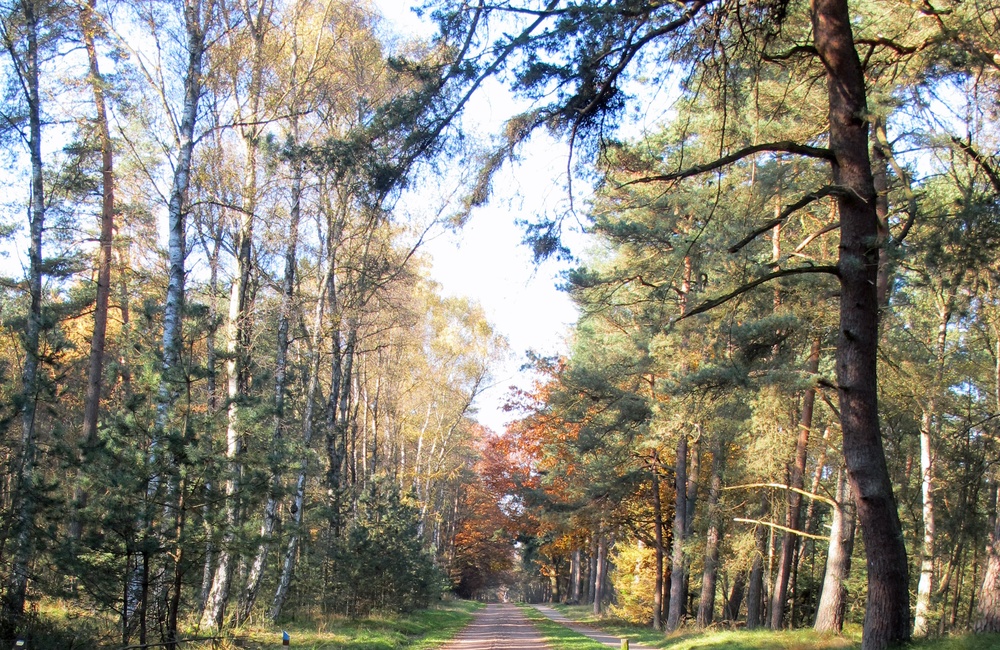 Plaggenweg