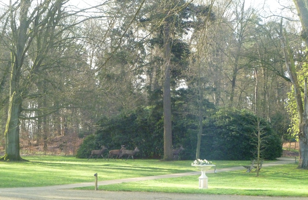 De piedestal met vaas in de tuin - 2011
