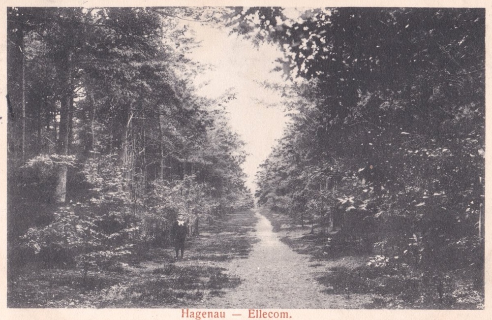 Hagenau - 1917