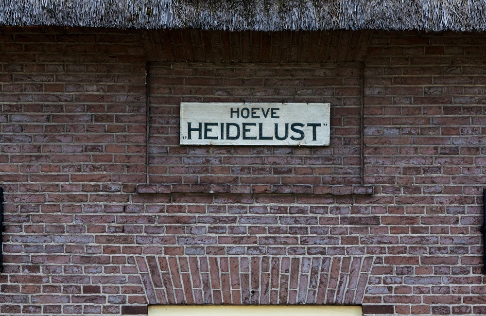 Detail voorgevel Hoeve Heidelust - 2016
