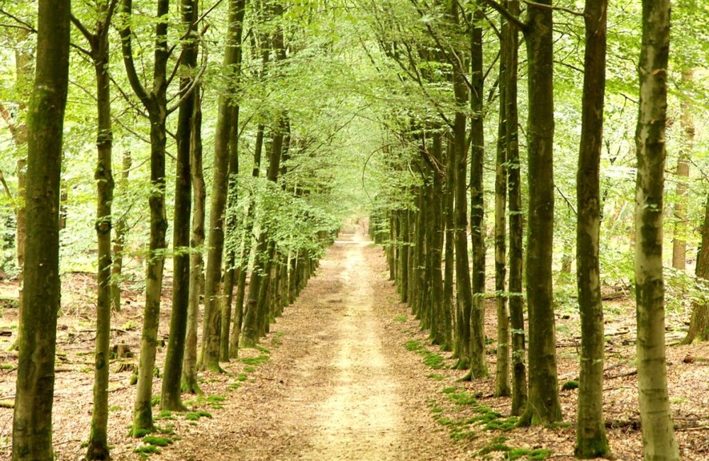 Wandelen tussen Lappendeken en Carolinahoeve