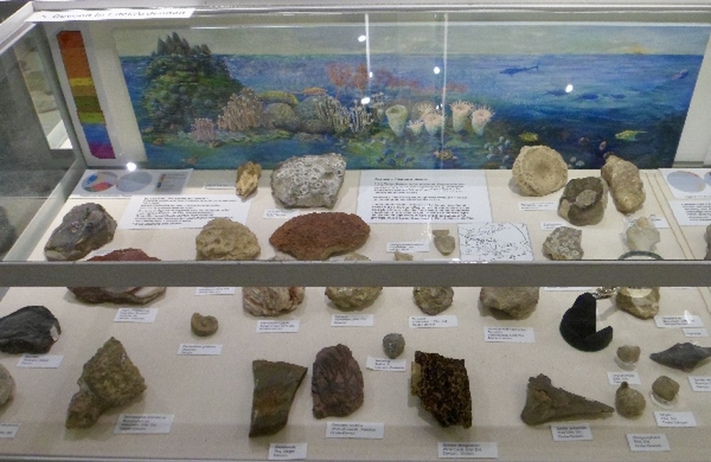 Vitrine uit wisseltentoonstelling