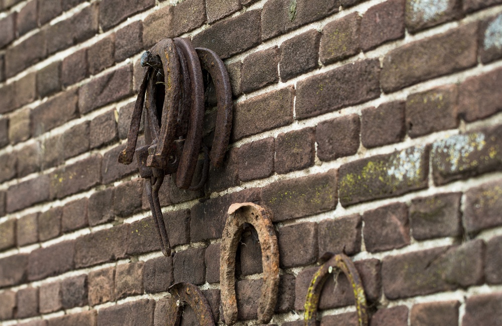 Detail gevelmuur met hoefijzers - 2016