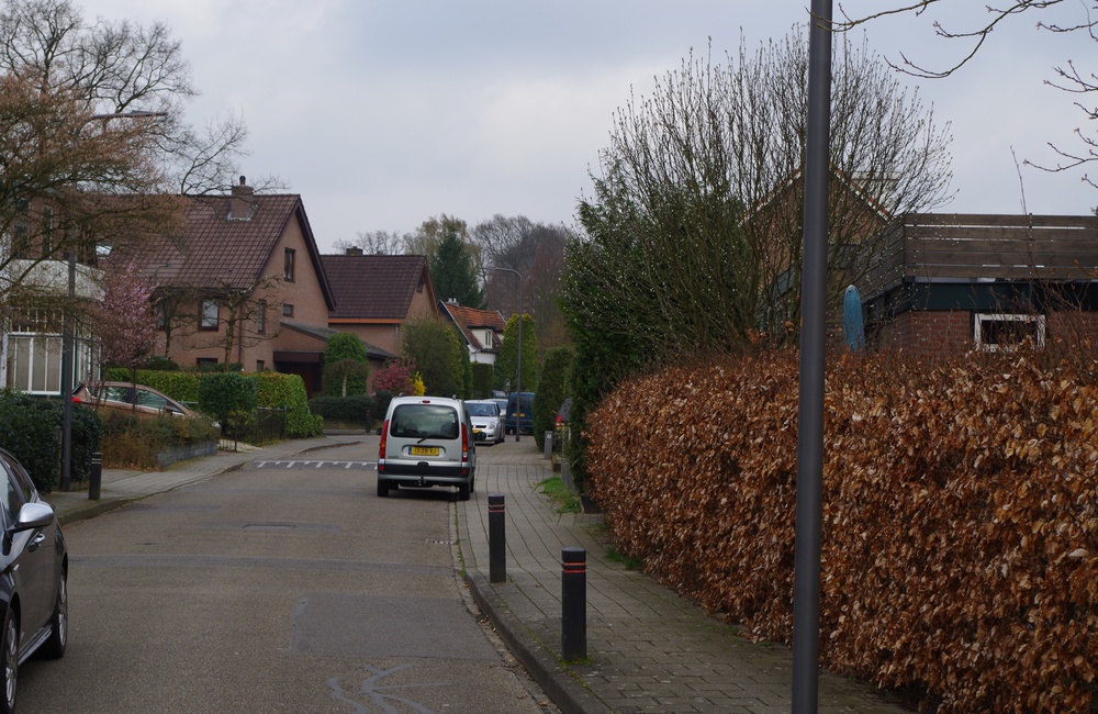 Bosweg02 RW