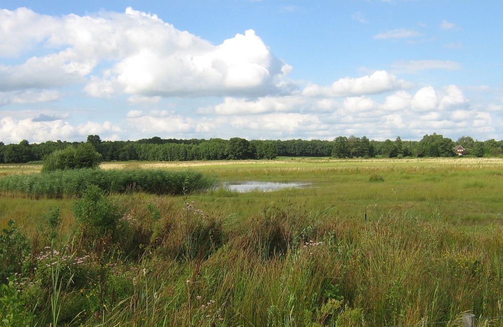 Plas in het Broek]]></afbeeldingen>