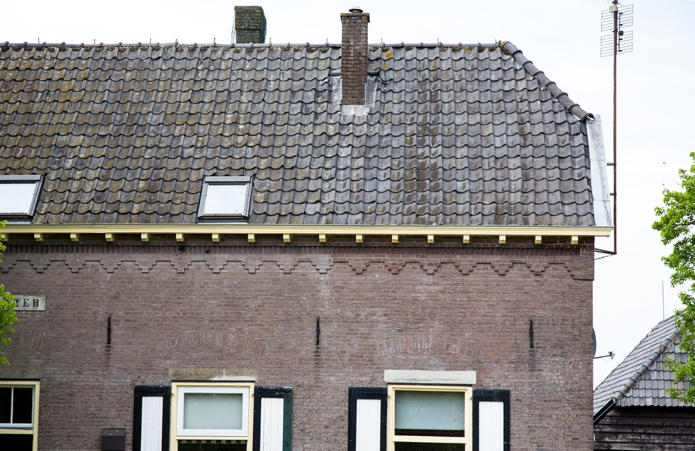 Detail tandlijst - 2016