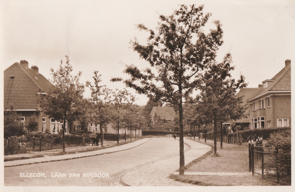 Laan van Avegoor vanaf beneden - 1948