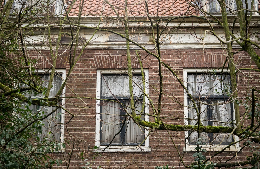 Detail voorgevel 2017