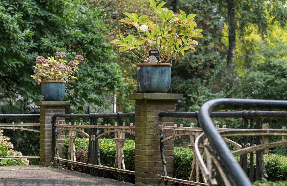 Terras met smeedijzeren balustrade (Jugendstil/Art Nouveau) - 2016