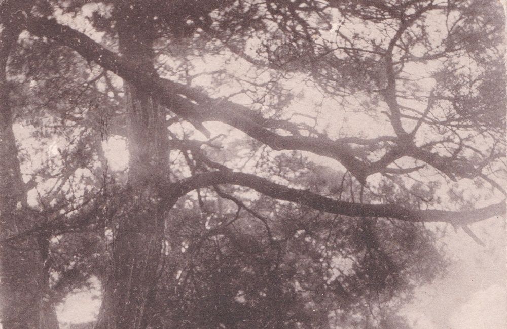 Kijkover - 1928