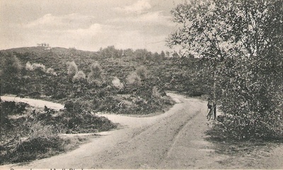 Dassenberg