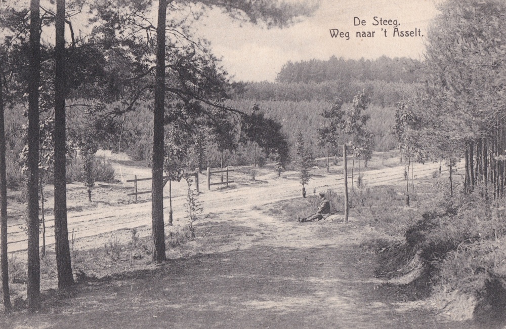 Bosgezicht "t Asselt -  1944