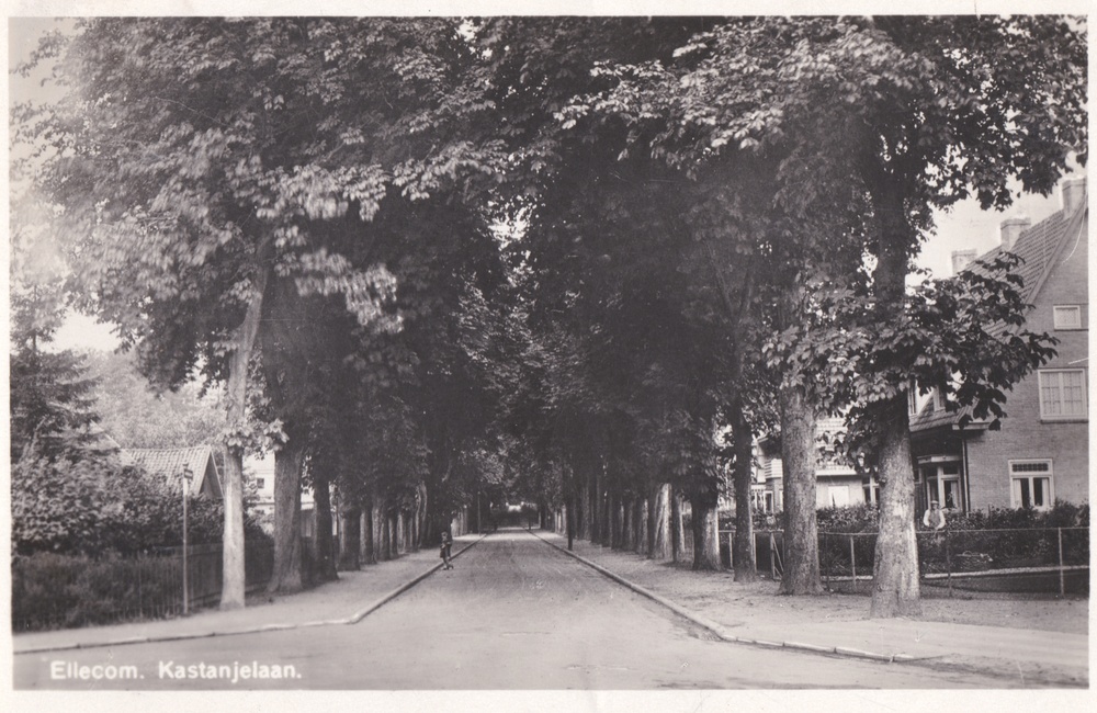 De verharde Kastanjelaan  - 1934