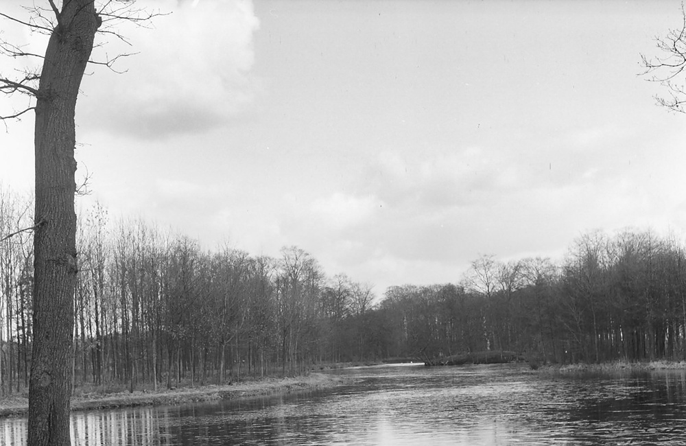 Biljoen: Gracht omringt door geboomte