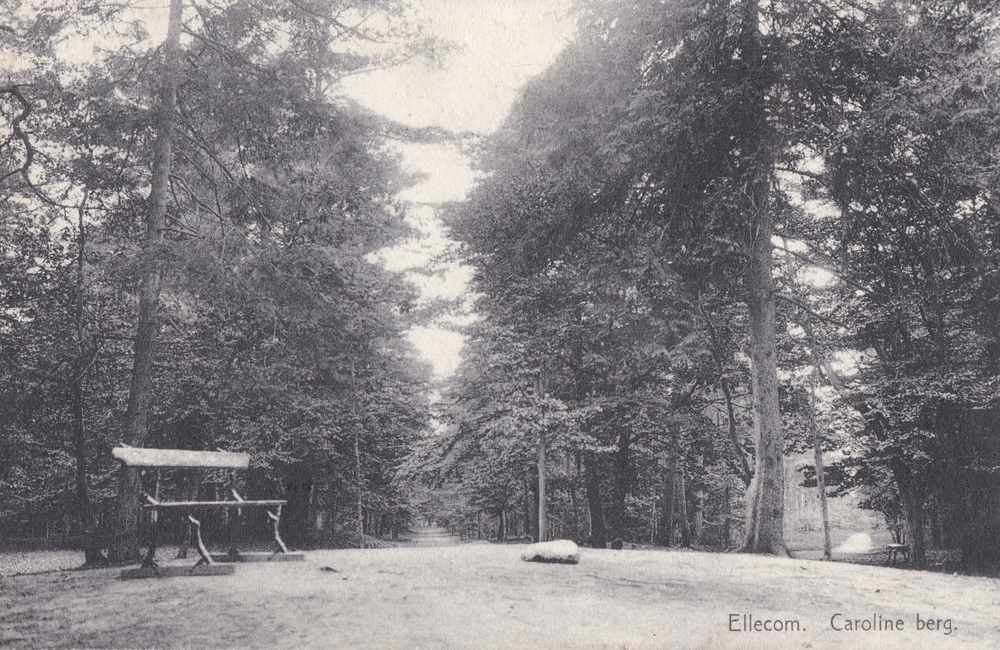 Carolinaberg - 1923