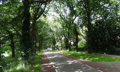Schietbergseweg Rheden