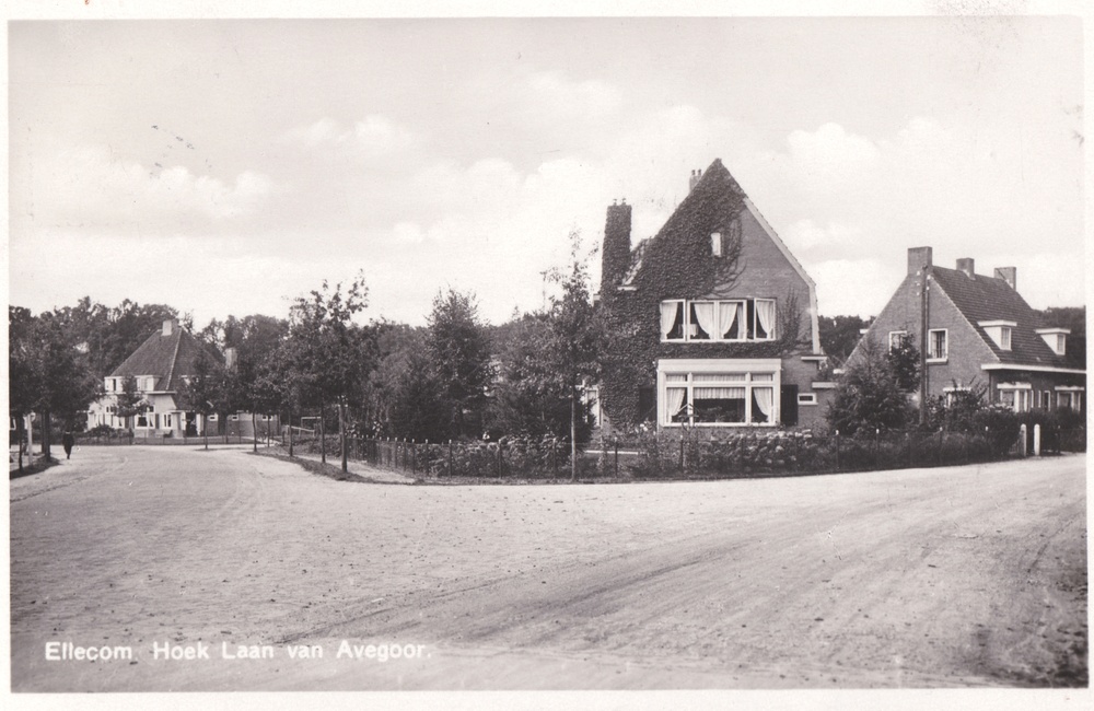 Laan van Avegoor vanaf de Binnenweg - 1934