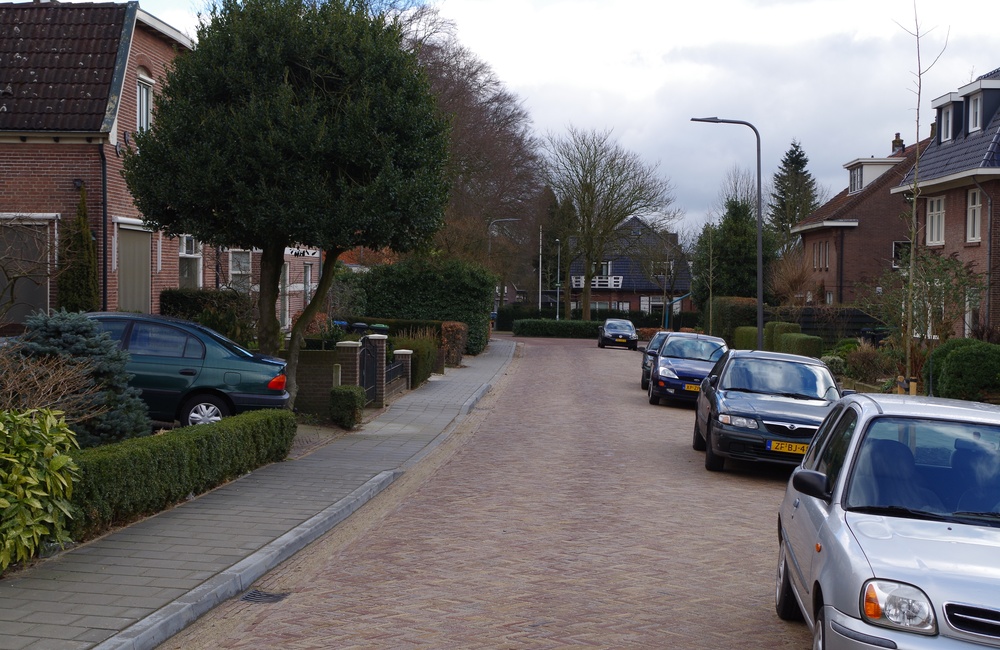 Hertogstraat - 2016