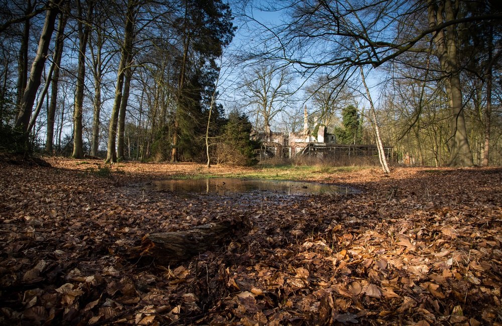 Restant park- en tuinaanleg Huis Laag Soeren - 2016
