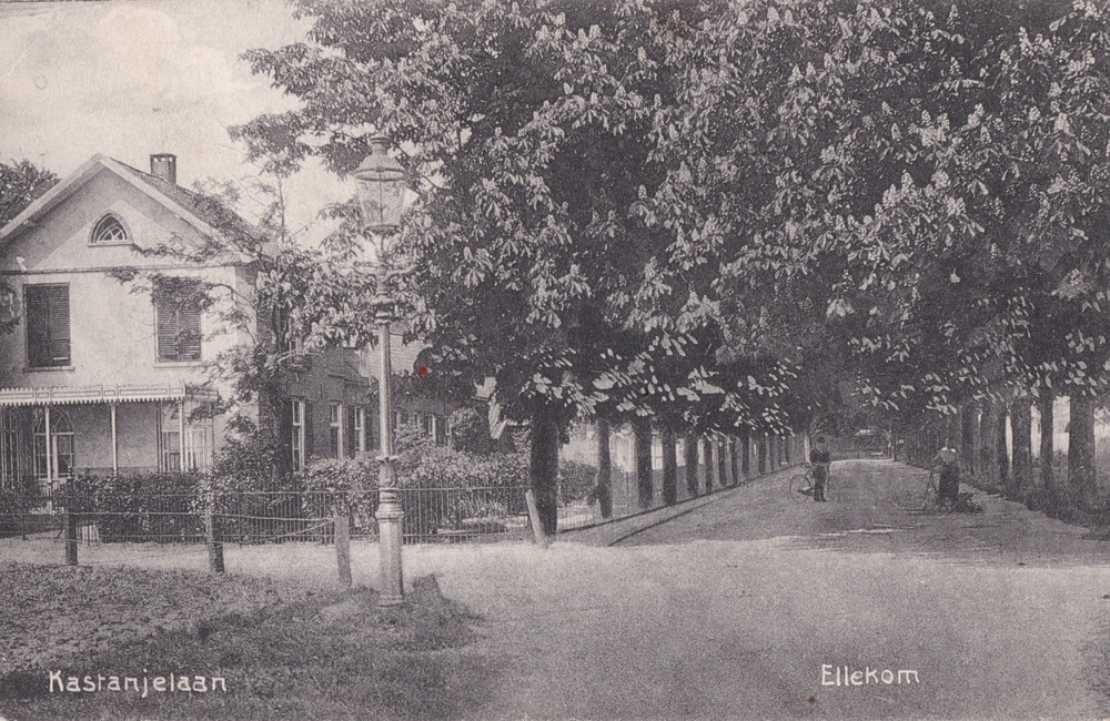 Kastanjelaan als zandweg - 1913